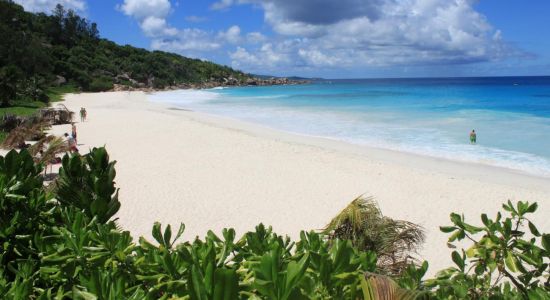 Plage de Petite Anse