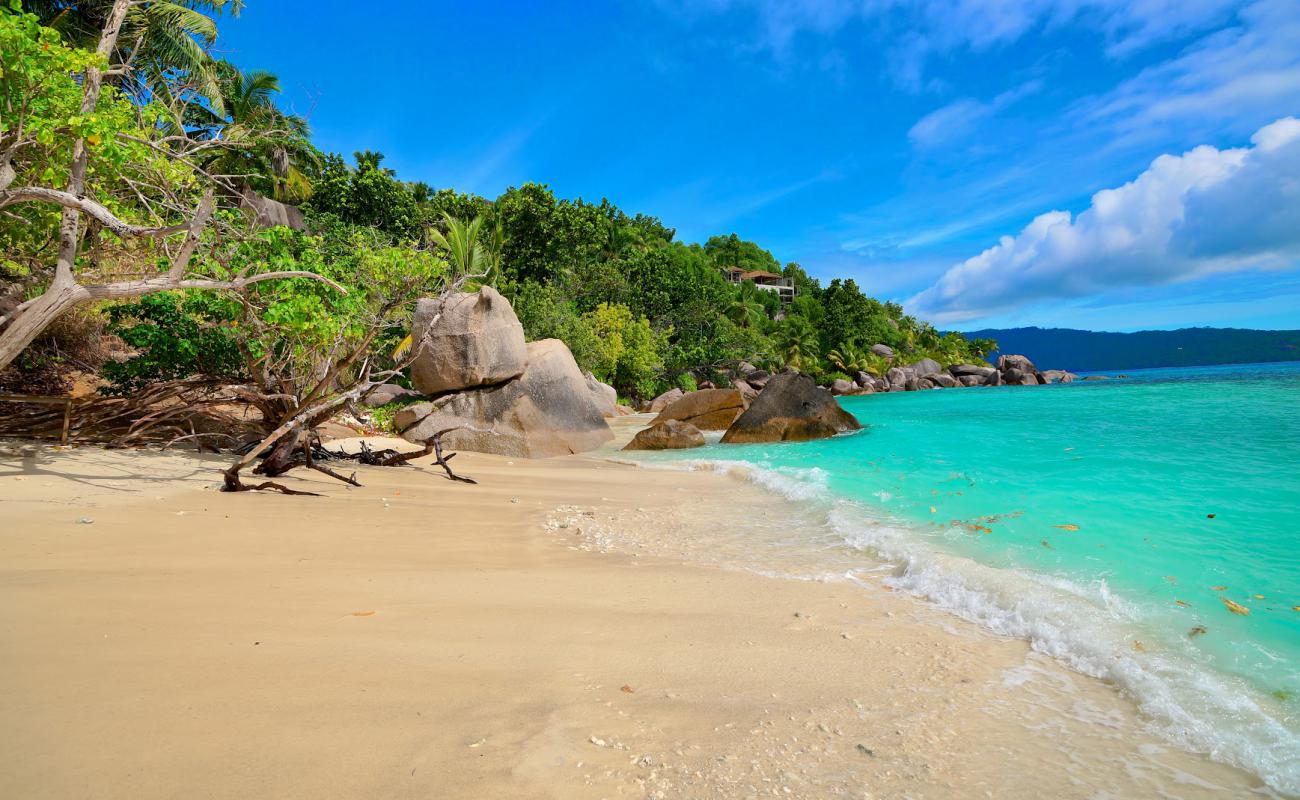 Photo de Felicite Island Beach II avec sable beige de surface