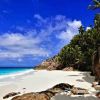 Plage Anse Macquereau