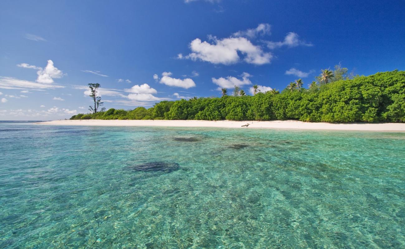 Photo de Bird Island Beach avec sable blanc de surface