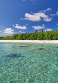 Bird Island