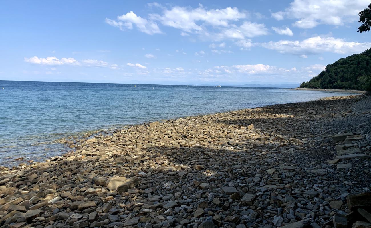 Photo de Strunjan beach avec roches de surface