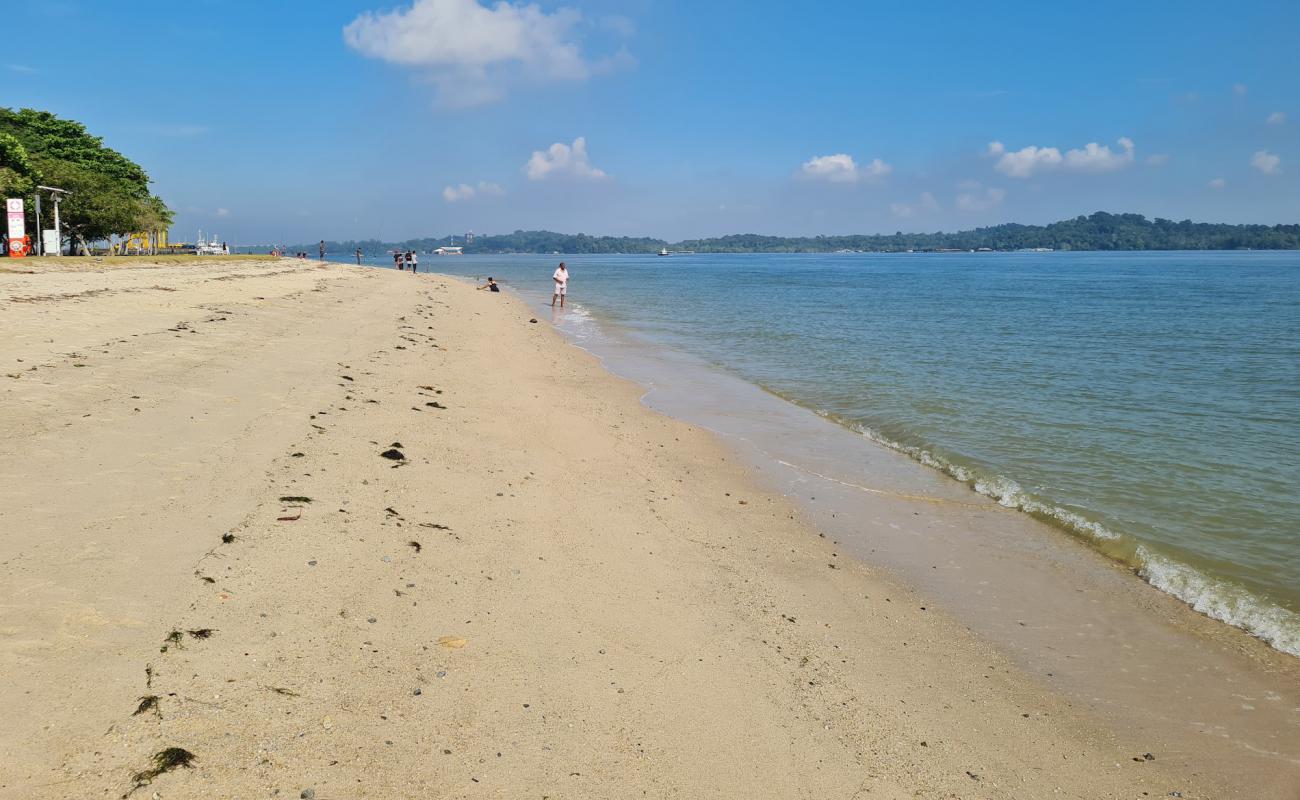 Photo de Changi Beach avec sable beige de surface