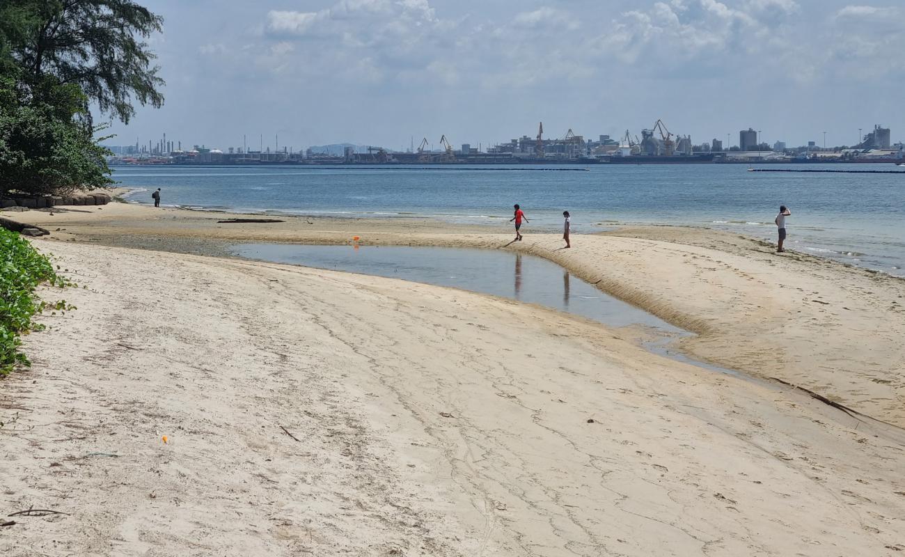 Photo de Coney Island avec sable beige de surface