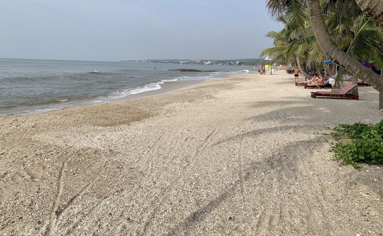 Photo de Nice Beach avec sable gris de surface