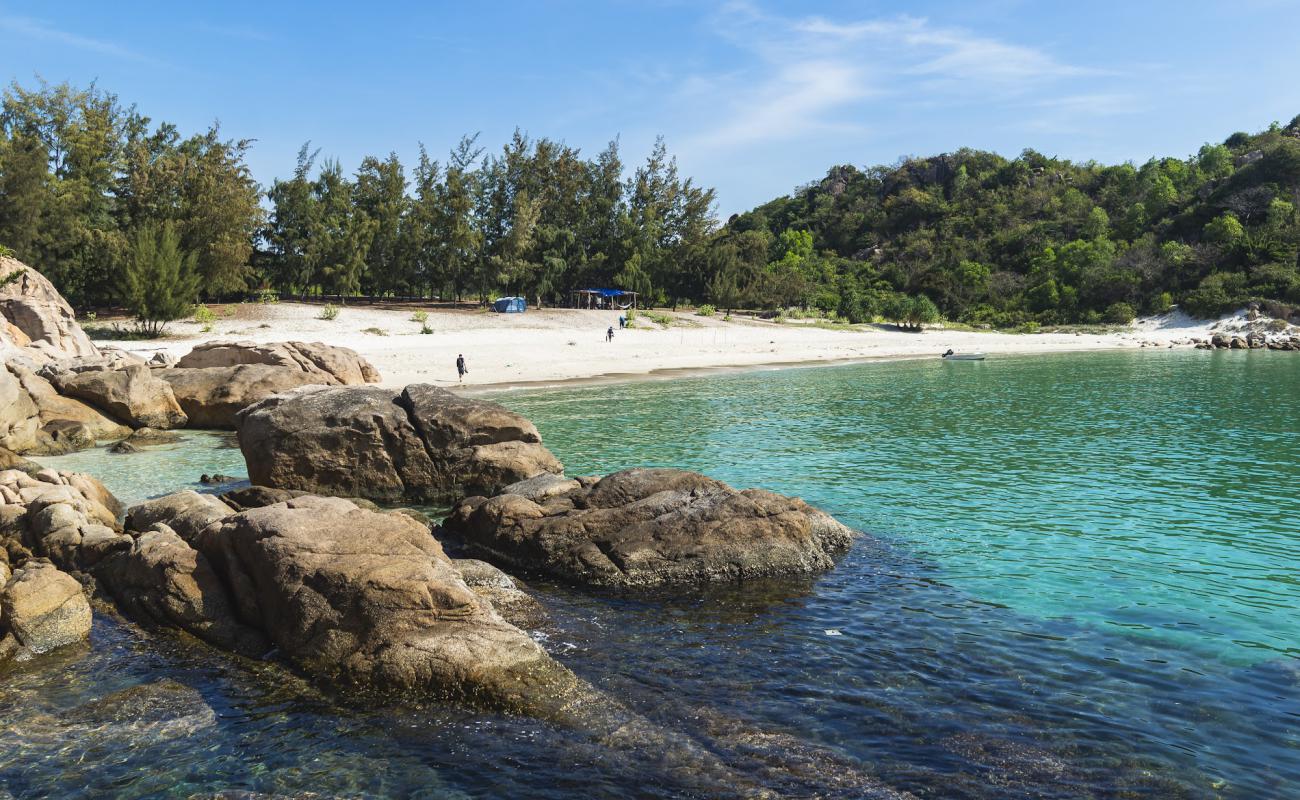 Photo de Robinson Beach avec sable fin blanc de surface