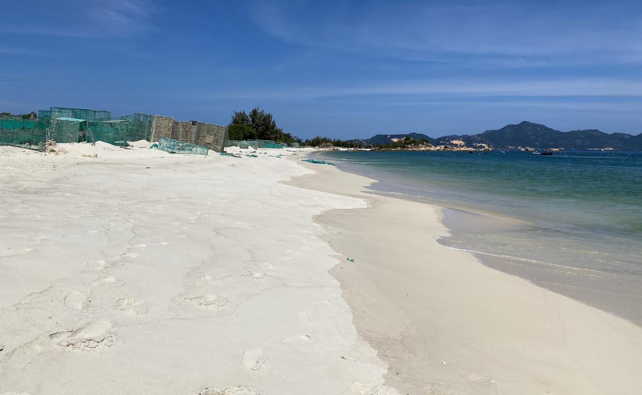 Photo de Cam Ranh Beach avec sable beige de surface