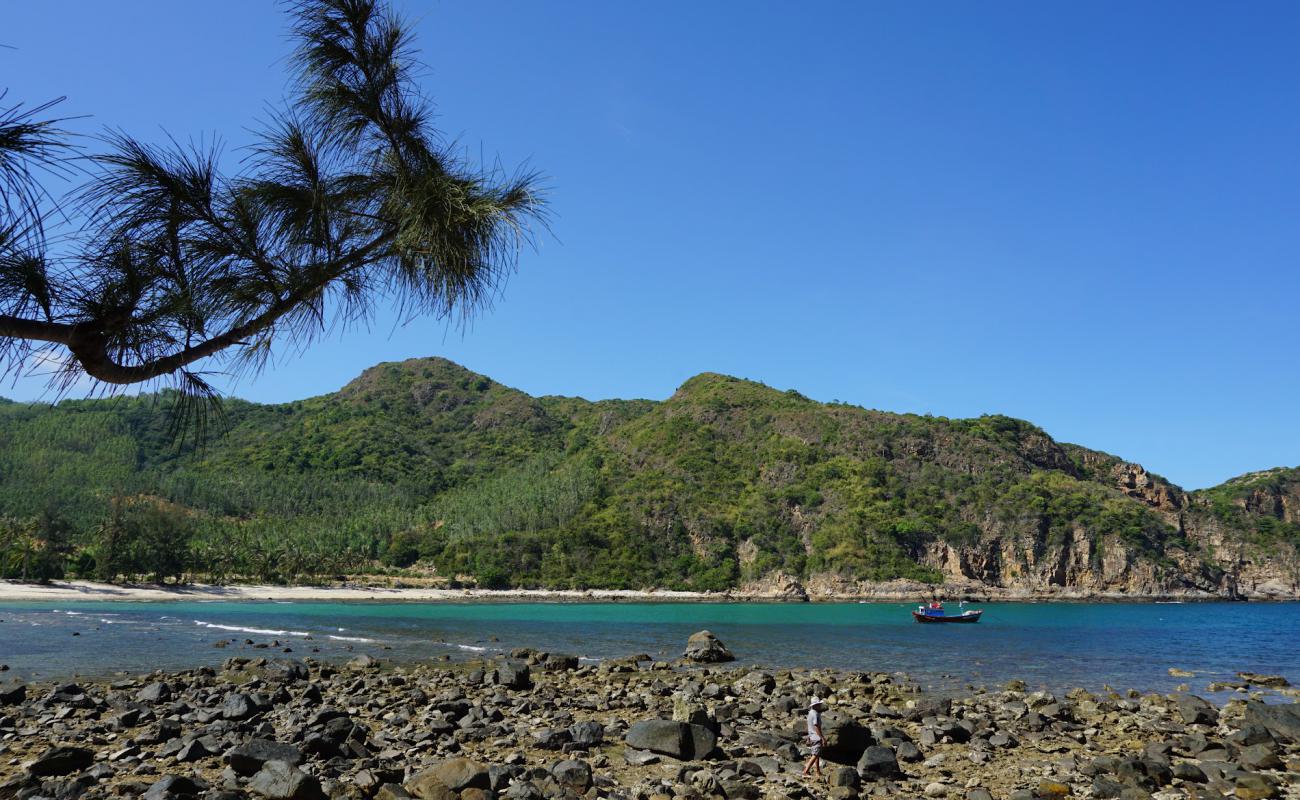 Photo de Reef Beach avec sable beige de surface