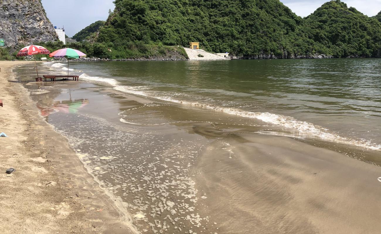 Photo de Tung thu beach avec sable lumineux de surface