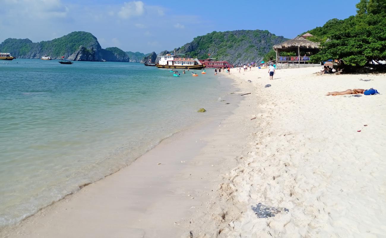 Photo de Monkey Island beach avec sable lumineux de surface