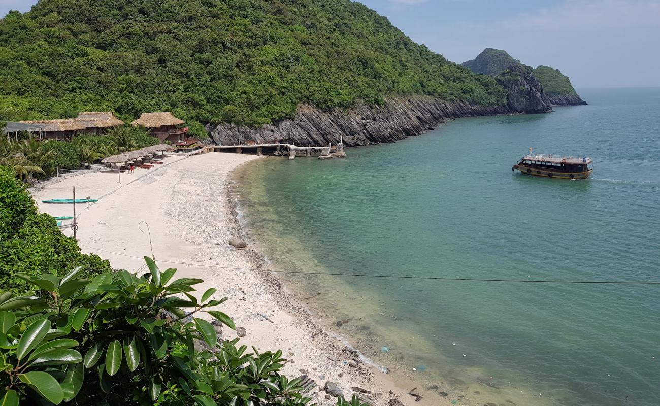 Photo de Monkey Island Resort avec sable lumineux de surface