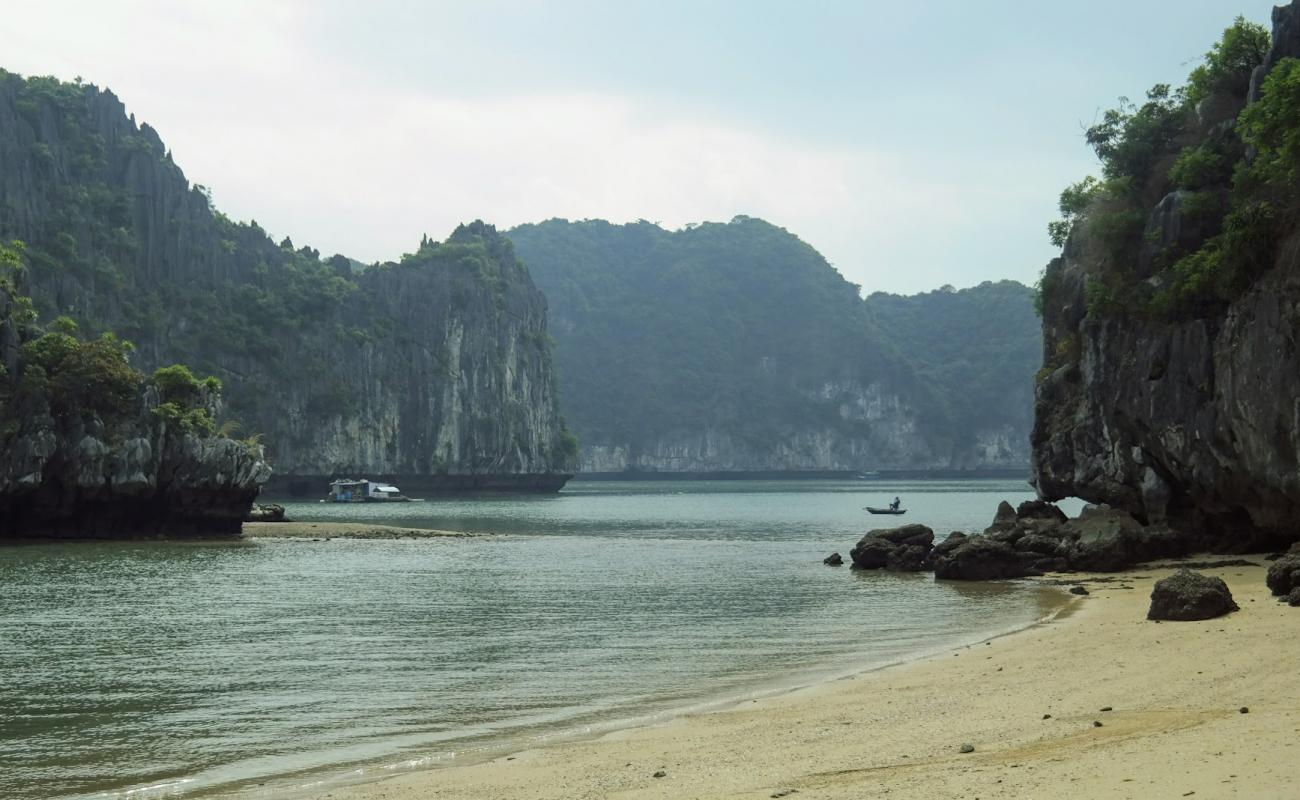 Photo de Temple Beach avec sable beige de surface
