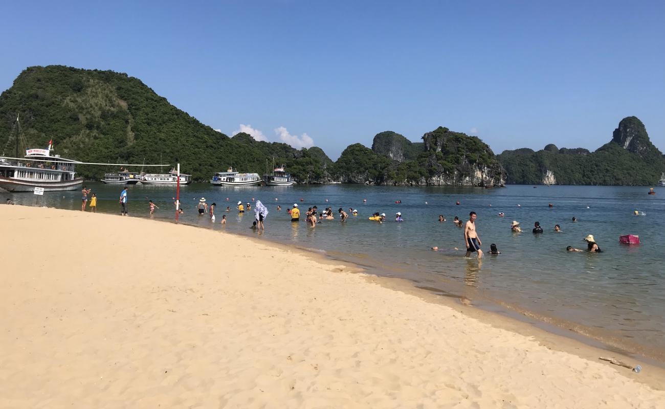 Photo de Ti Top Beach avec sable beige de surface