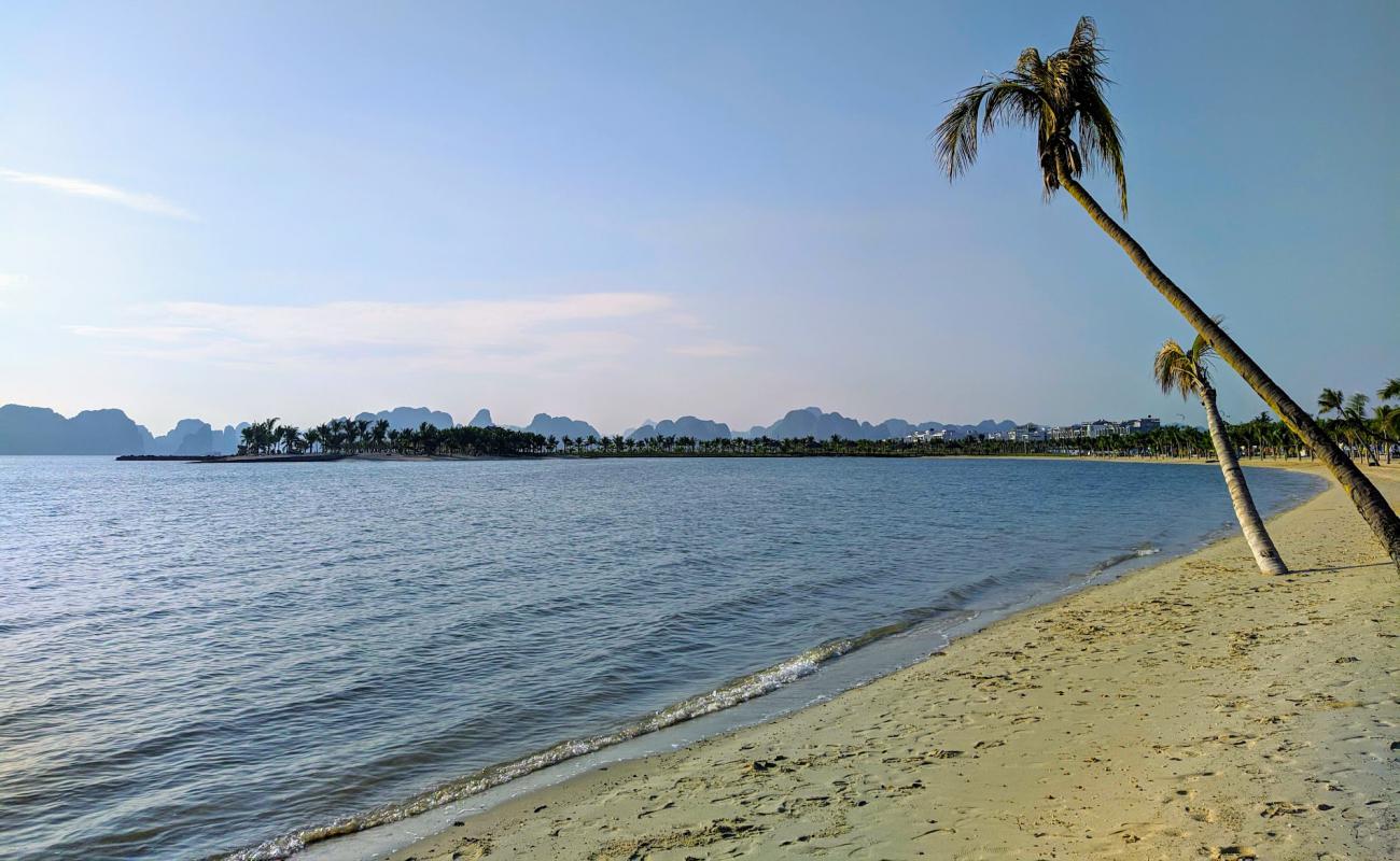 Photo de Tuan Chau Resort beach avec sable lumineux de surface