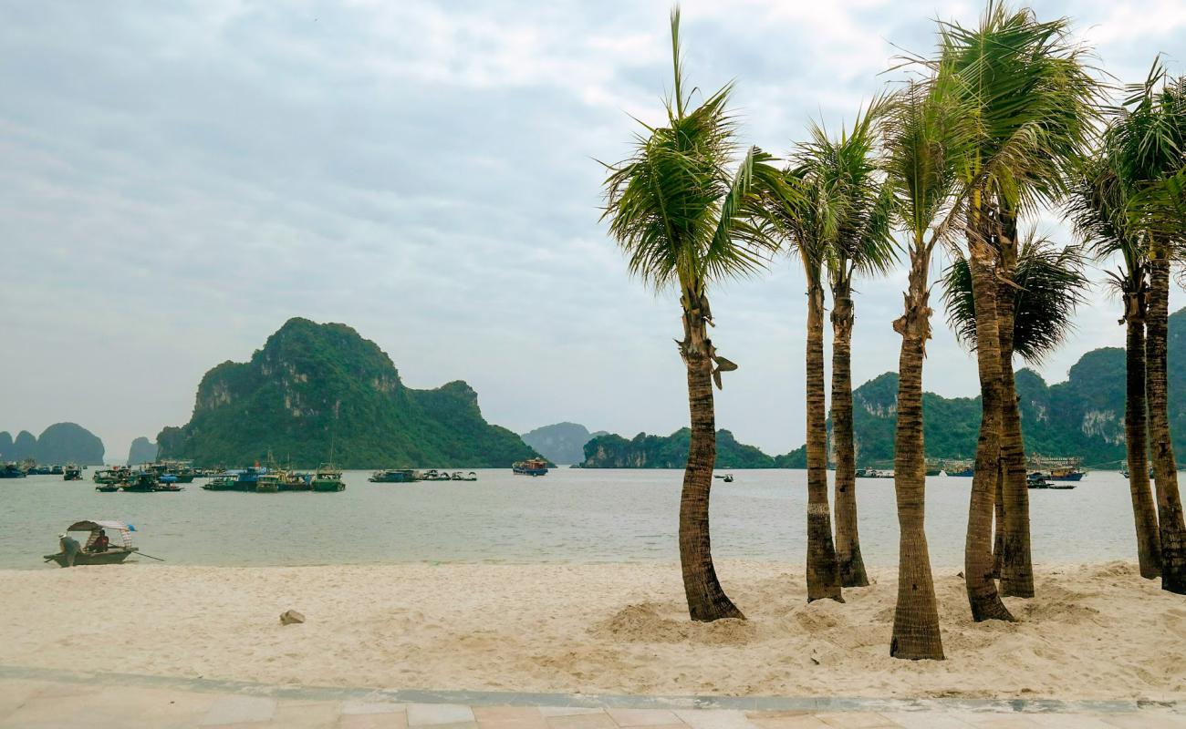 Photo de Hon Gai beach avec sable blanc de surface