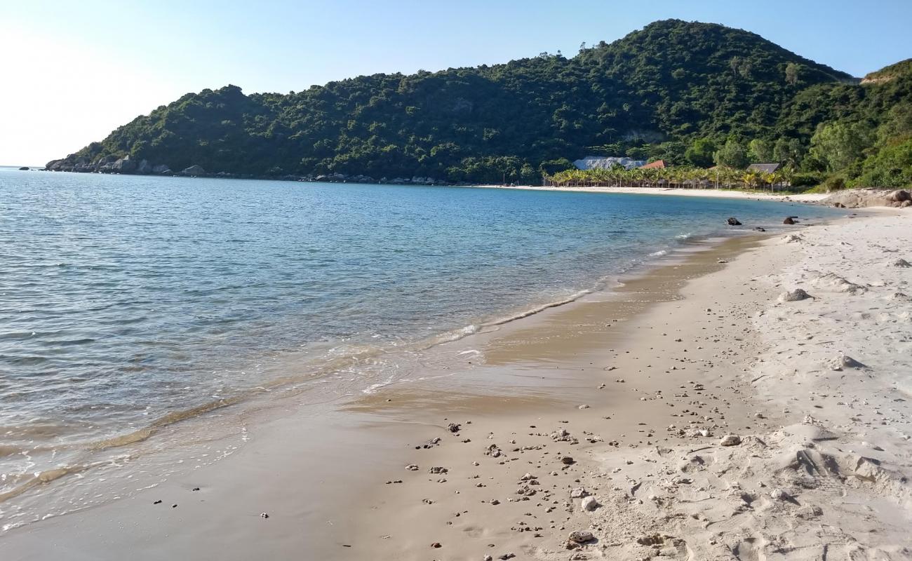 Photo de North Beach avec sable lumineux de surface