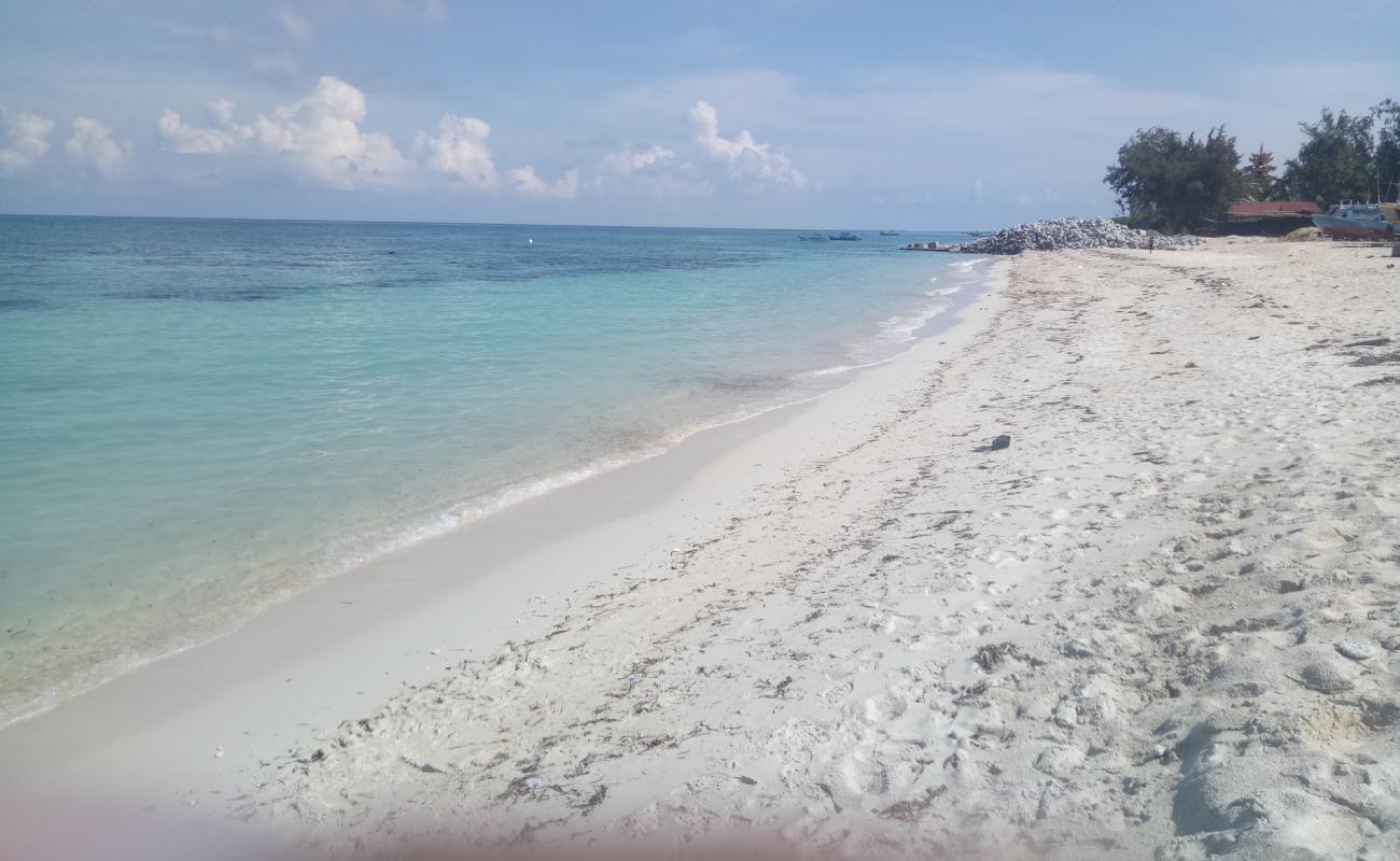 Photo de Park Beach avec sable beige de surface