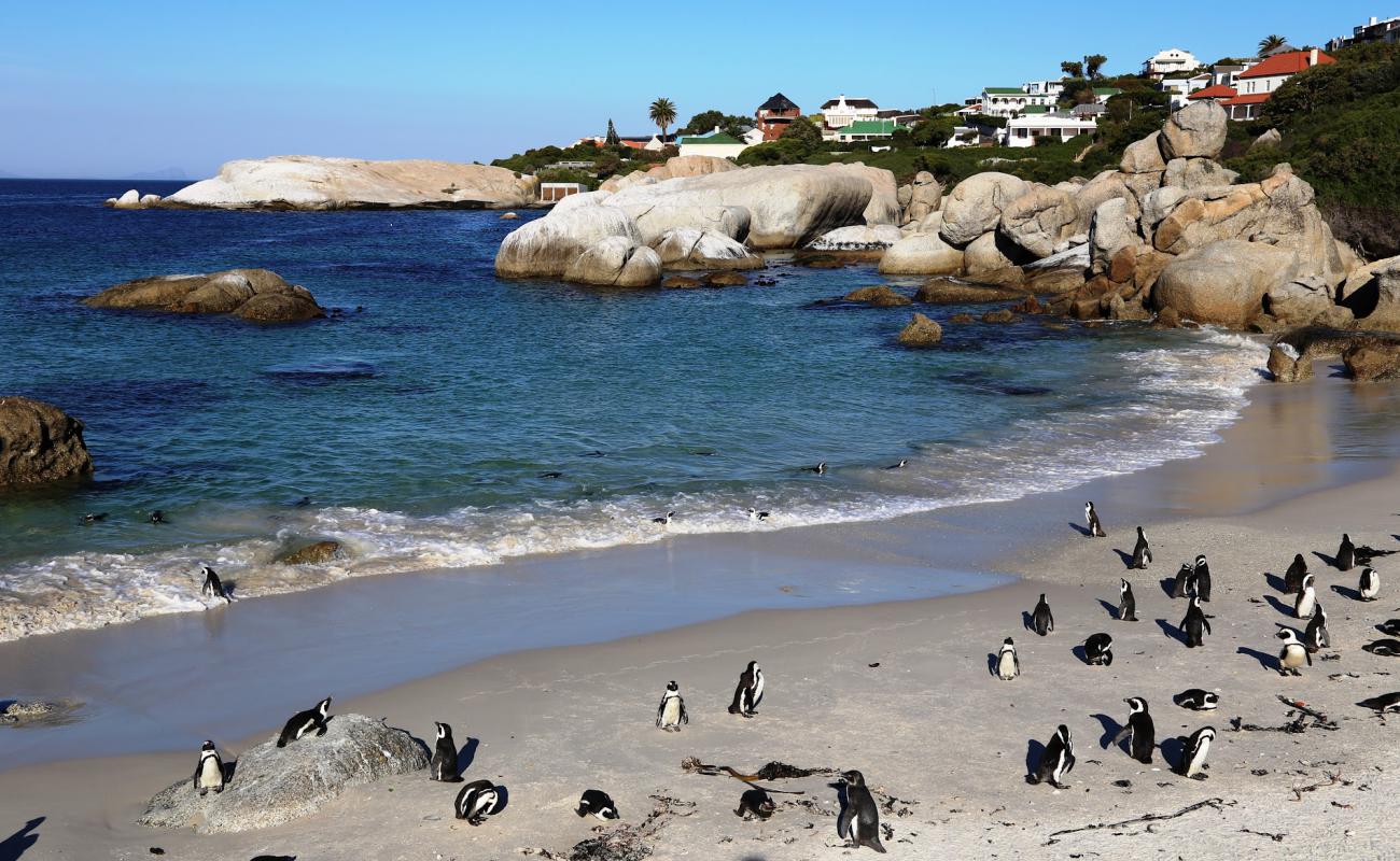 Photo de Plage des Boulders avec sable lumineux de surface