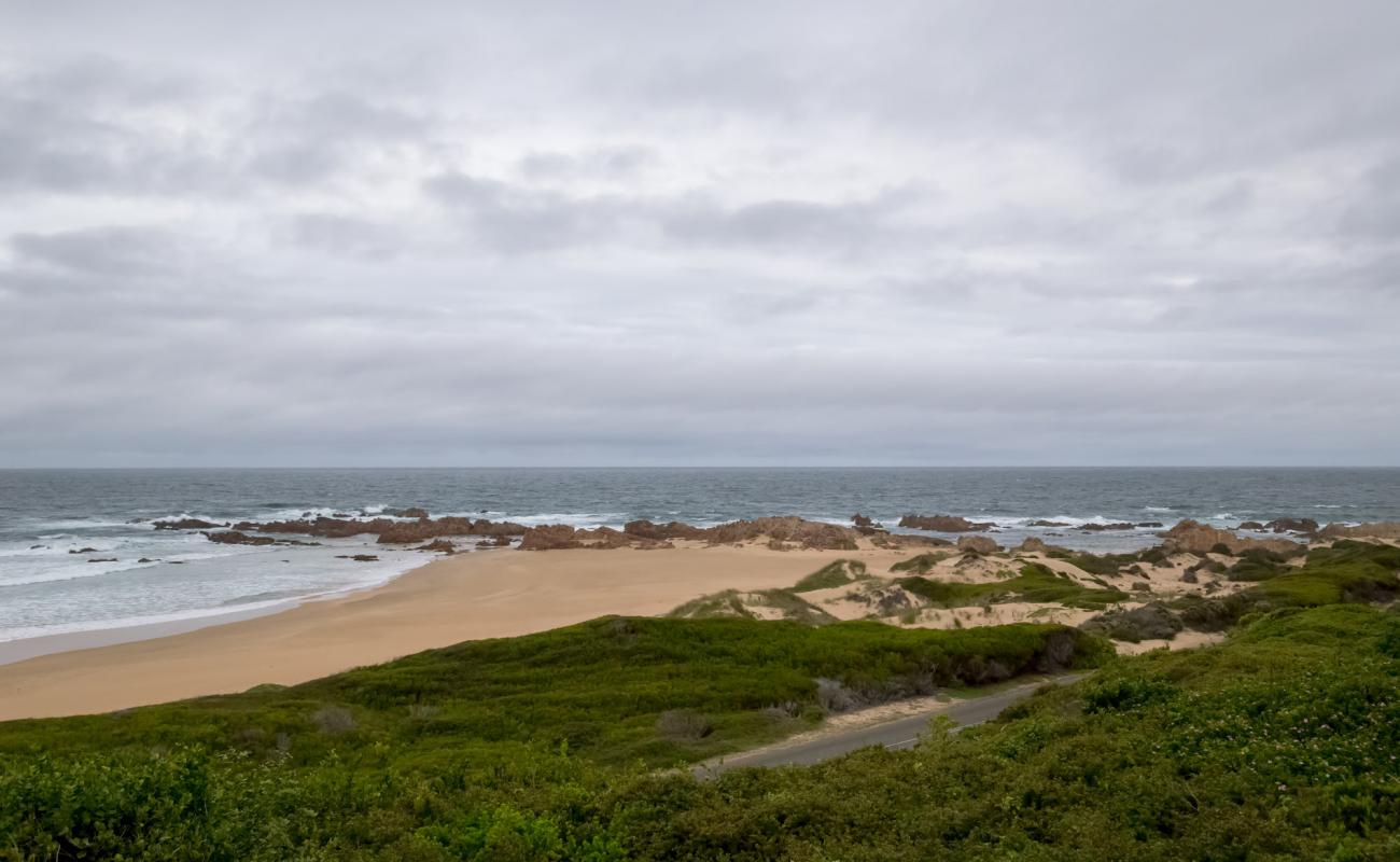 Photo de Buffalo Bay beach II avec sable fin et lumineux de surface