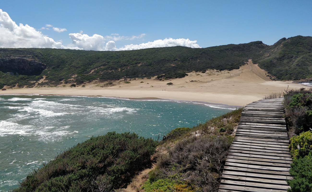 Photo de Robberg reserve beach avec sable lumineux de surface