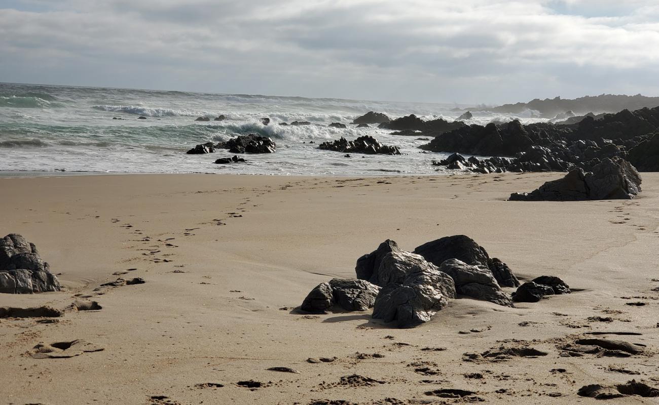 Photo de Wasserna's beach avec sable beige fin de surface