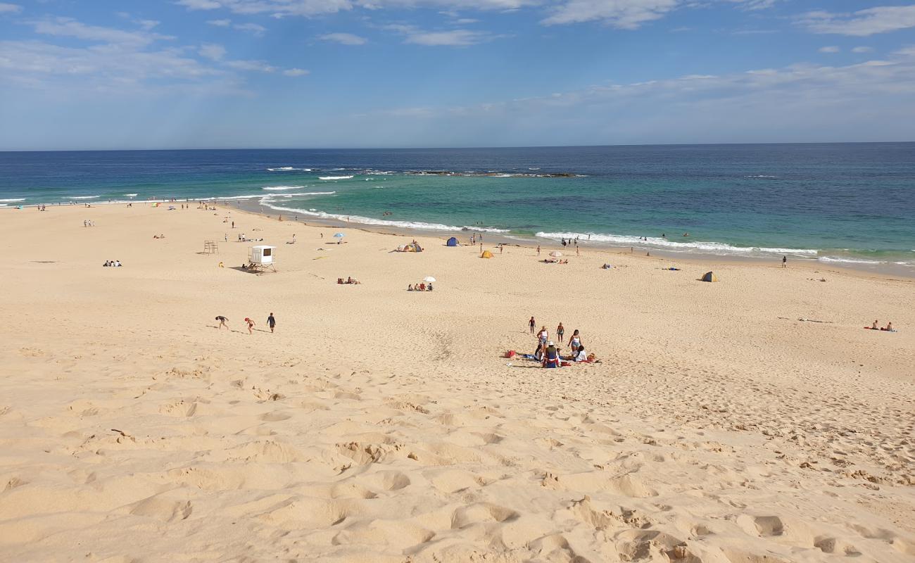 Photo de Sardinia Bay beach avec sable lumineux de surface