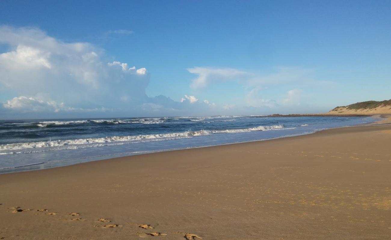Photo de Forest Downs beach avec sable beige de surface