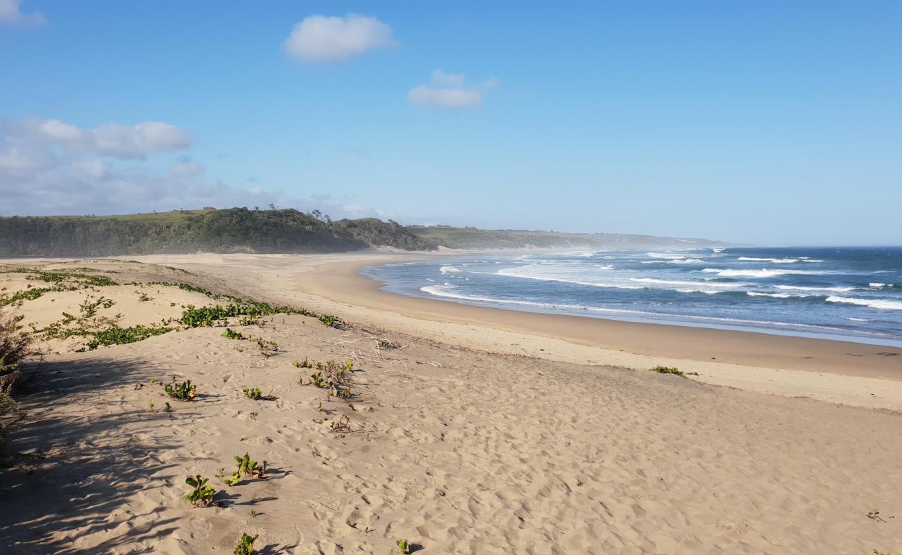 Photo de Seagulls beach avec sable lumineux de surface