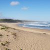 Seagulls beach