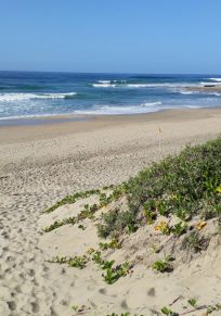 Palm Beach