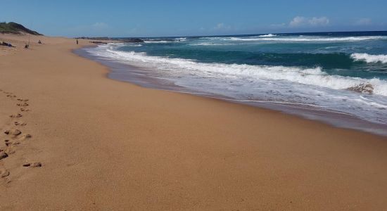 Tinley Manor beach I