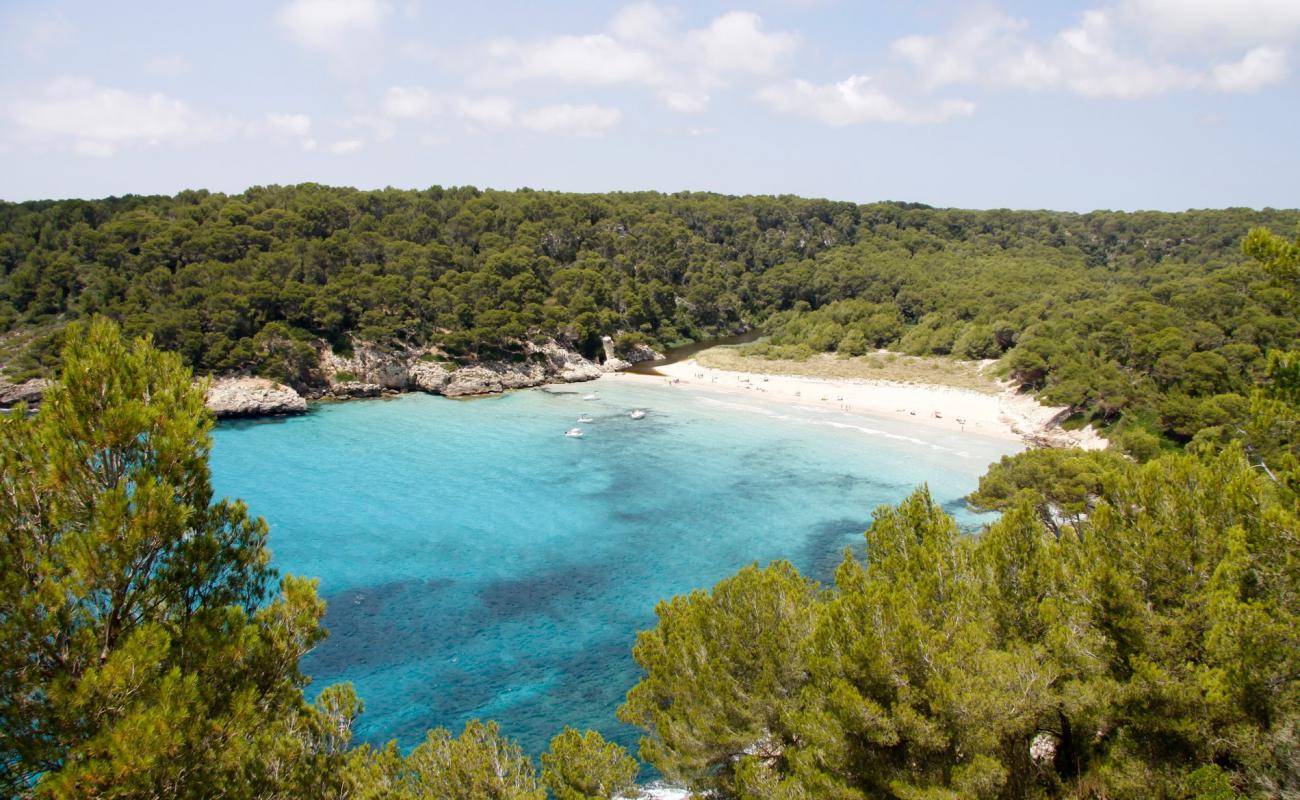 Photo de Cala de Trebaluger avec sable fin et lumineux de surface