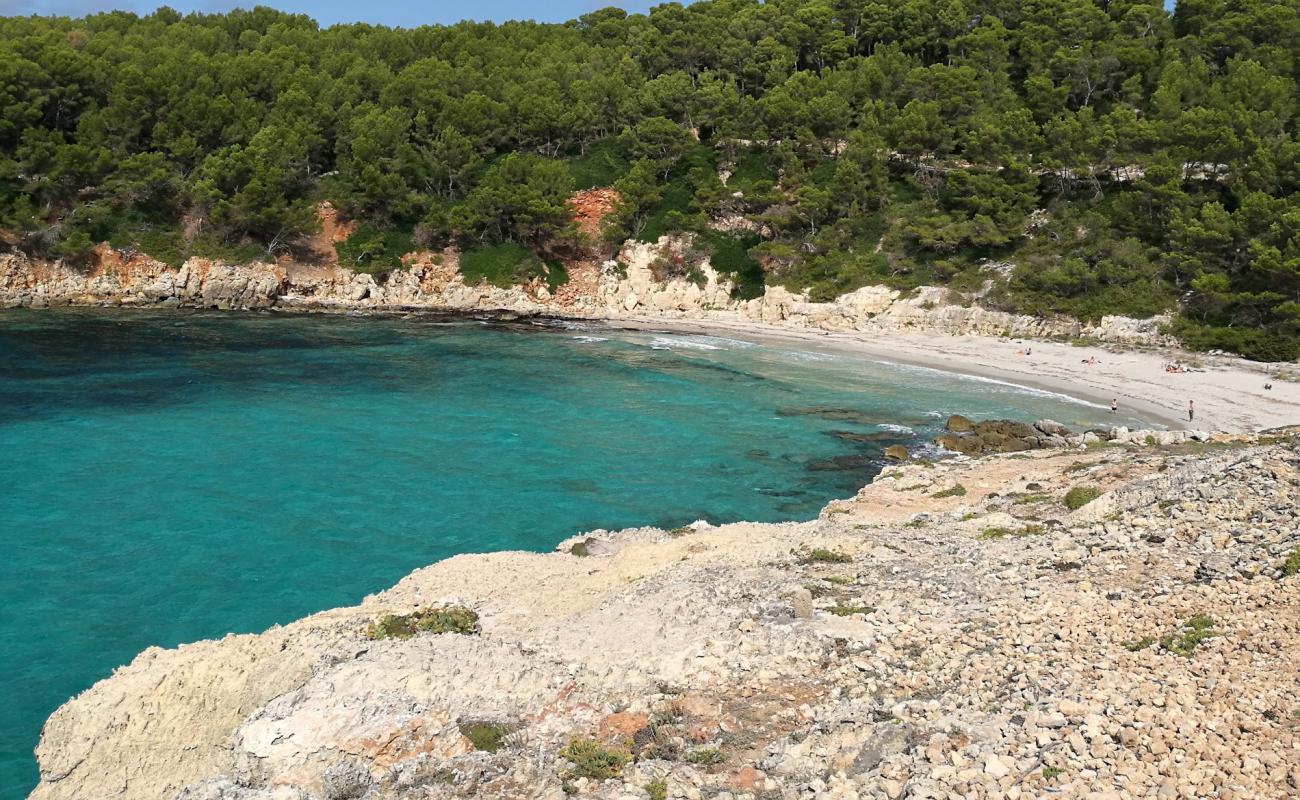 Photo de Playa Cala Escorxada avec sable fin et lumineux de surface