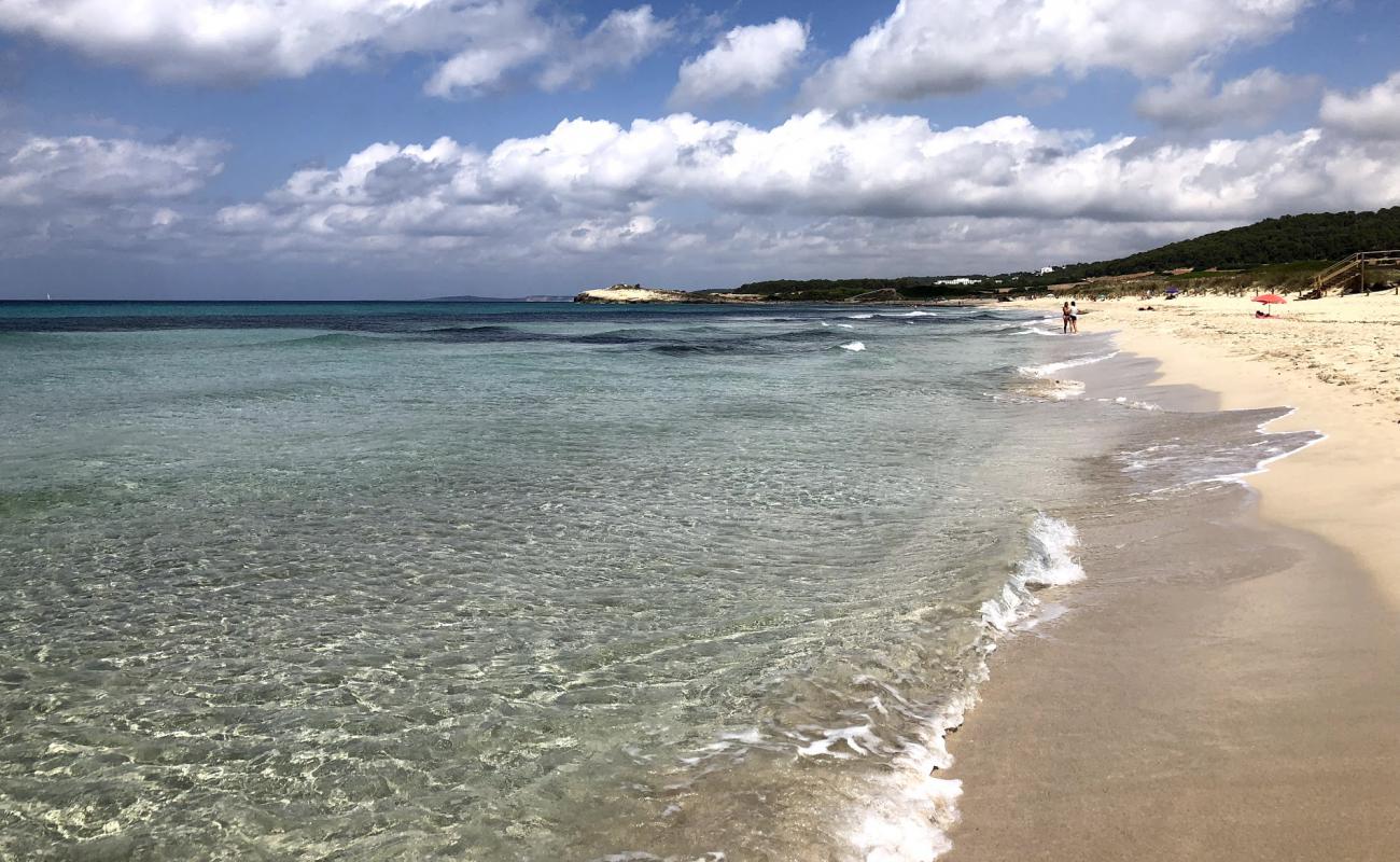 Photo de Son Bou Beach avec sable fin et lumineux de surface