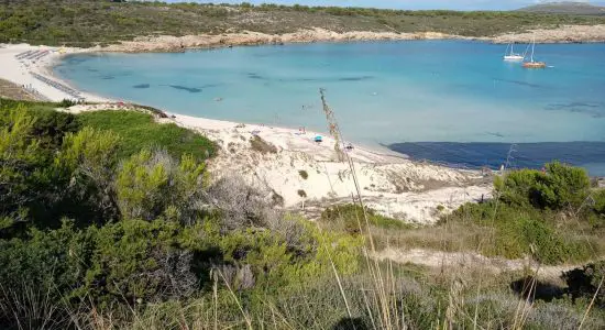 Plage d'Arenal Son Saura