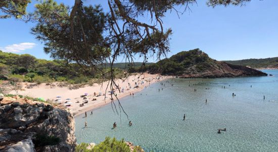 Plage de Cala Algaiarens II