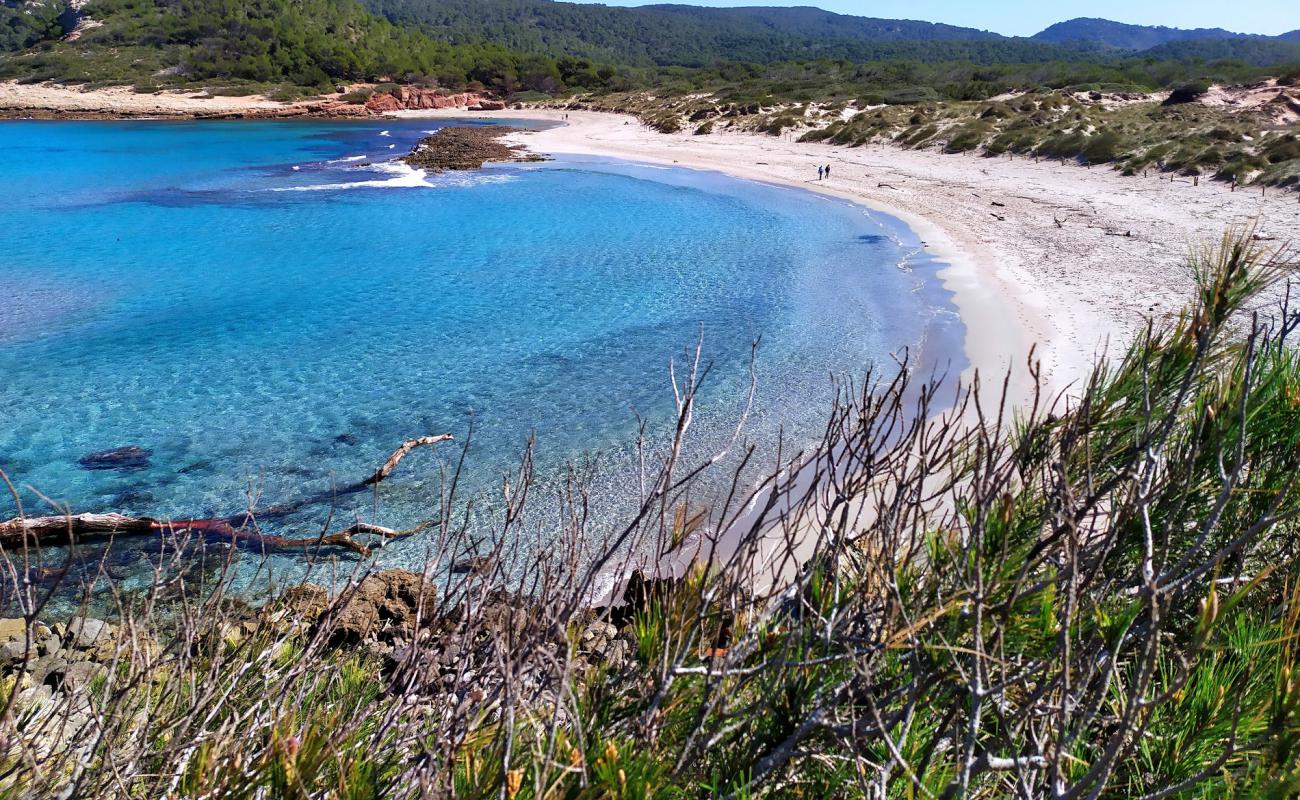 Photo de Plage de Cala Algaiarens avec sable fin et lumineux de surface