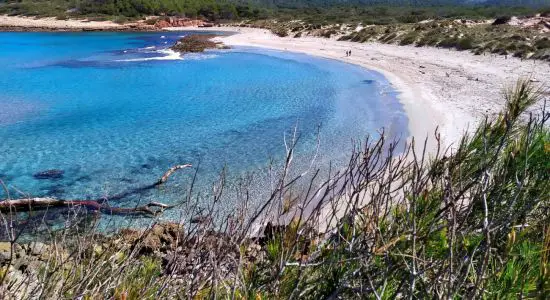 Plage de Cala Algaiarens