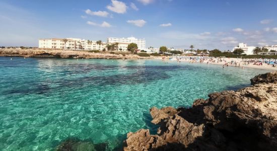 Plage de Cala en Bosch