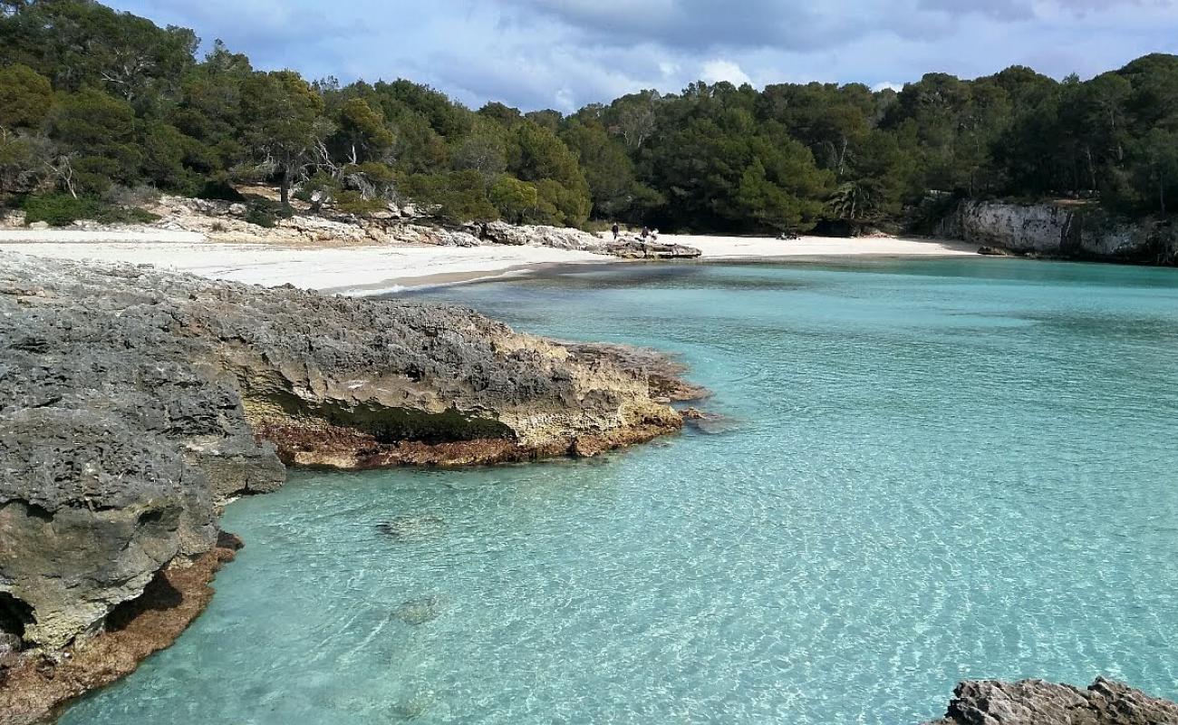 Photo de Plage de Cala en Turqueta avec sable fin et lumineux de surface