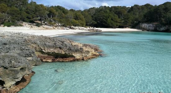 Plage de Cala en Turqueta