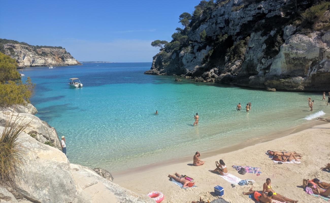 Photo de Plage de Cala Macarelleta avec sable beige fin de surface