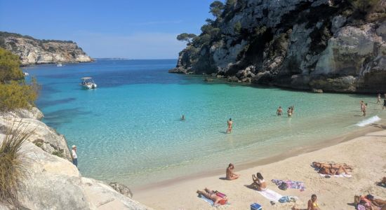 Plage de Cala Macarelleta