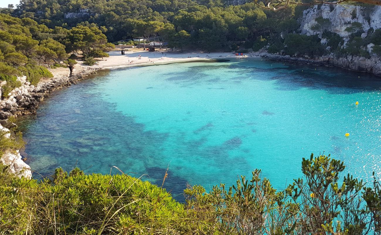 Photo de Plage de Cala Macarella avec sable fin et lumineux de surface