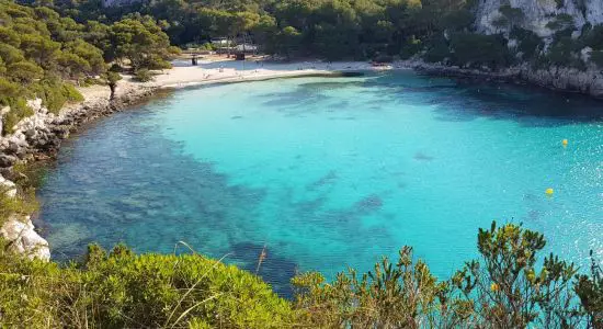 Plage de Cala Macarella