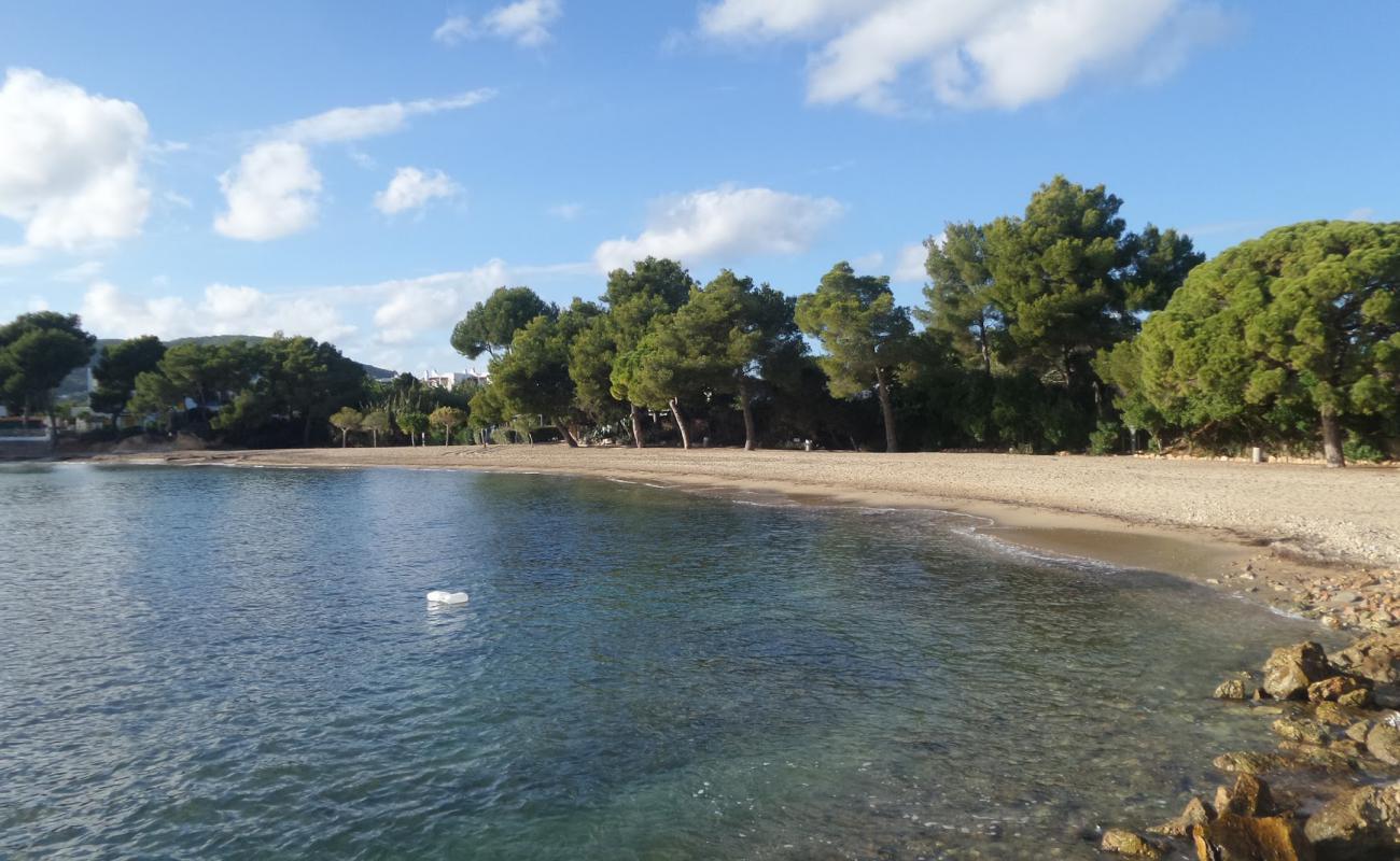 Photo de Playa Niu Blau avec sable beige fin de surface