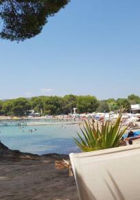 S'Argamassa