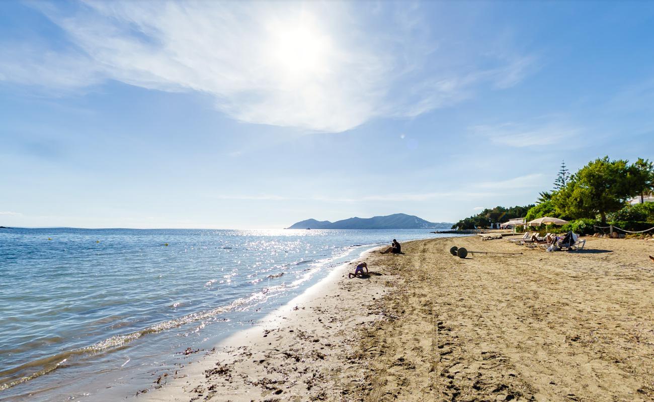 Photo de Playa Cala Martina - endroit populaire parmi les connaisseurs de la détente