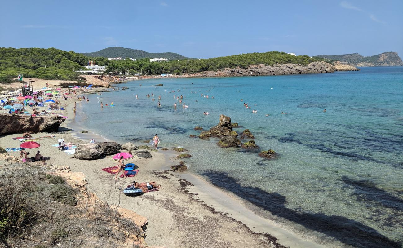 Photo de Cala Nova Beach avec sable fin et lumineux de surface