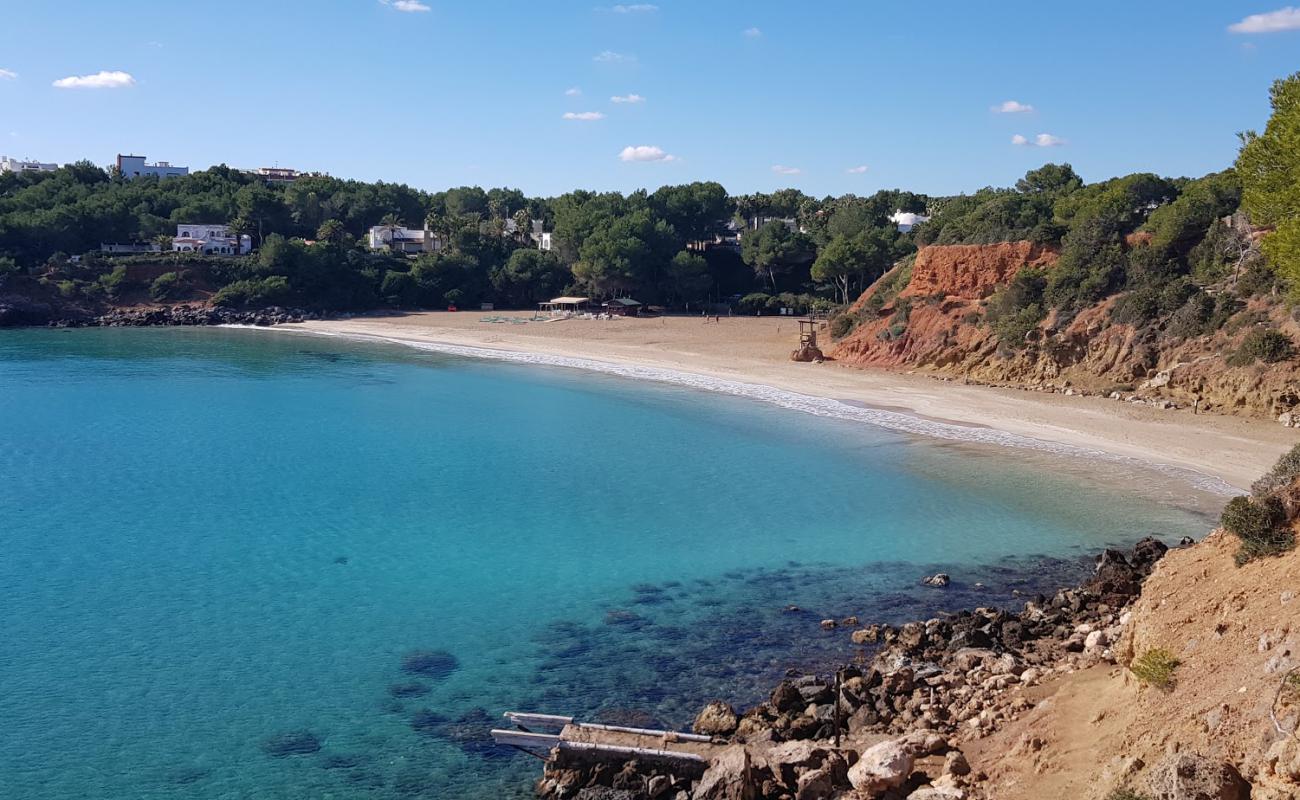 Photo de Cala Llenya Beach avec sable fin et lumineux de surface